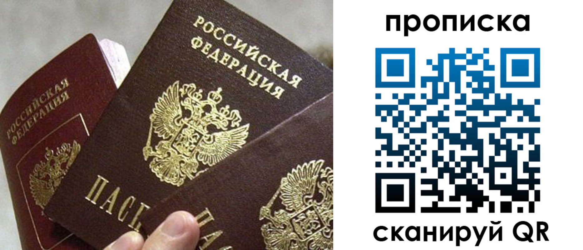 прописка 2025 в Богородске